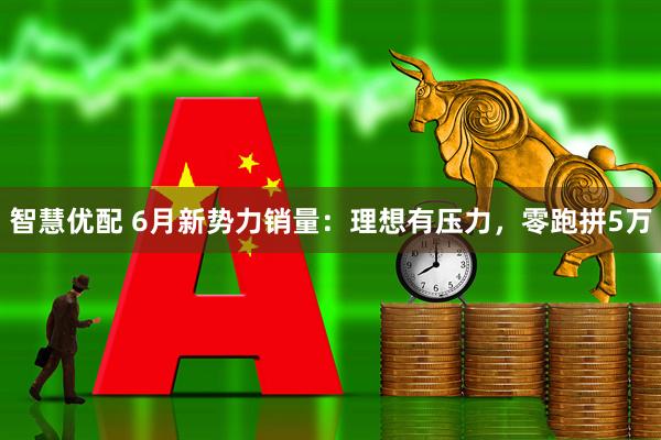 智慧优配 6月新势力销量：理想有压力，零跑拼5万
