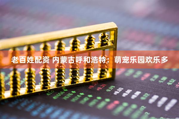 老百姓配资 内蒙古呼和浩特：萌宠乐园欢乐多