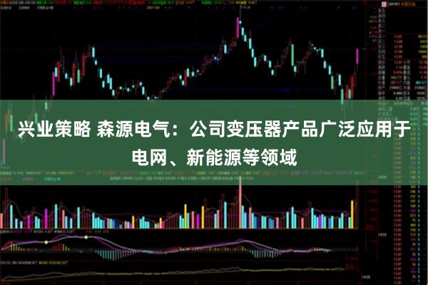 兴业策略 森源电气：公司变压器产品广泛应用于电网、新能源等领域